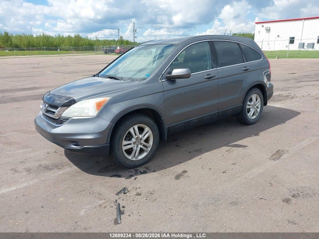 Продаж на аукціоні авто 2010 Honda Cr-v Ex, vin: 5J6RE4H5XAL817261, номер лоту: 12689234