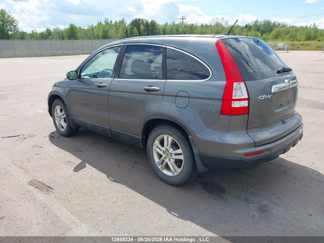 Продаж на аукціоні авто 2010 Honda Cr-v Ex, vin: 5J6RE4H5XAL817261, номер лоту: 12689234