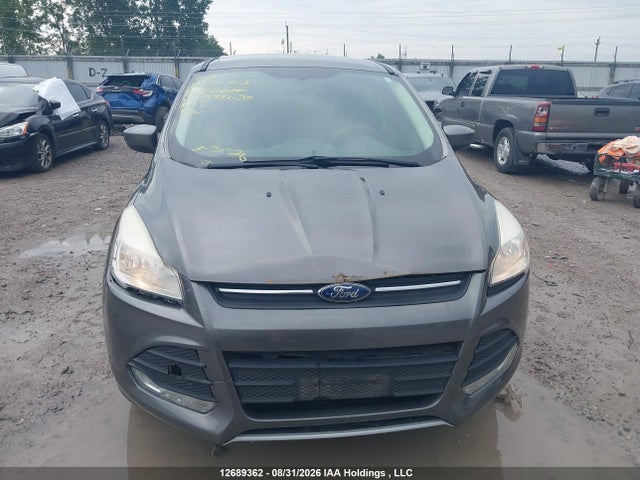 Продаж на аукціоні авто 2014 Ford Escape Se, vin: 1FMCU9GX0EUA32029, номер лоту: 12689362
