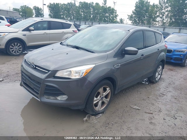 Продаж на аукціоні авто 2014 Ford Escape Se, vin: 1FMCU9GX0EUA32029, номер лоту: 12689362