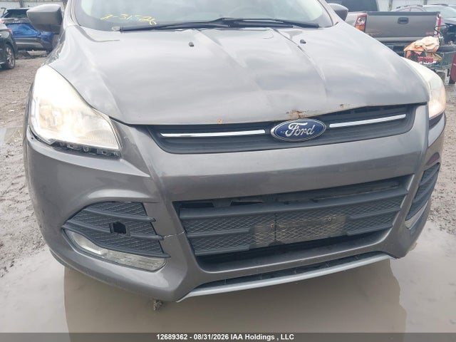 Продаж на аукціоні авто 2014 Ford Escape Se, vin: 1FMCU9GX0EUA32029, номер лоту: 12689362