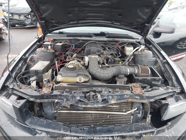 12665538 :رقم المزاد ، 1ZVFT80N075309800 vin ، 2007 Ford Mustang مزاد بيع