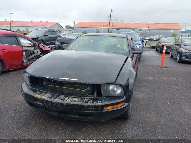 12665538 :رقم المزاد ، 1ZVFT80N075309800 vin ، 2007 Ford Mustang مزاد بيع