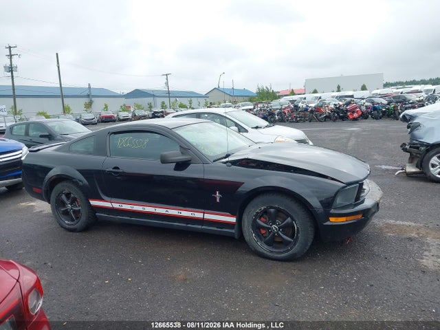 12665538 :رقم المزاد ، 1ZVFT80N075309800 vin ، 2007 Ford Mustang مزاد بيع