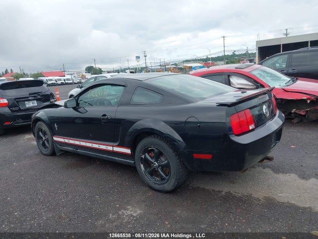 12665538 :رقم المزاد ، 1ZVFT80N075309800 vin ، 2007 Ford Mustang مزاد بيع