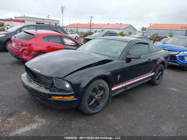 12665538 :رقم المزاد ، 1ZVFT80N075309800 vin ، 2007 Ford Mustang مزاد بيع