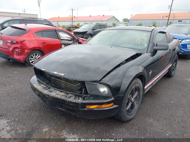 12665538 :رقم المزاد ، 1ZVFT80N075309800 vin ، 2007 Ford Mustang مزاد بيع