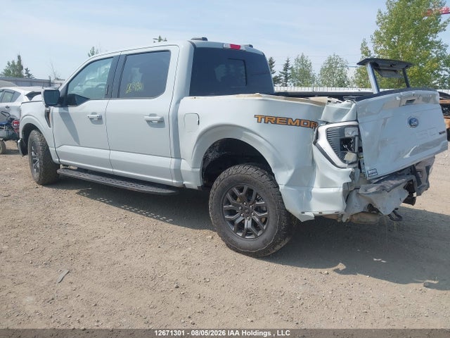 1FTEW1E82PFC60318 Ford F-150 Tremor