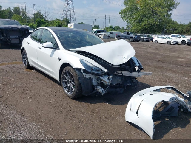 Продажа на аукционе авто 2023 Tesla Model 3 Rwd, vin: 5YJ3E1EA5PF499914, номер лота: 12689601