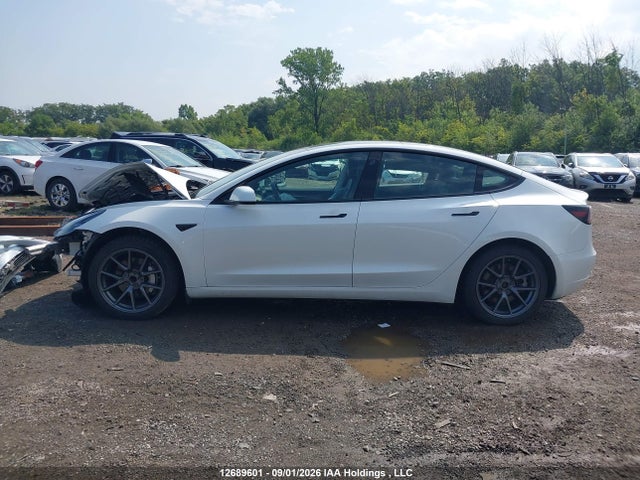 Продажа на аукционе авто 2023 Tesla Model 3 Rwd, vin: 5YJ3E1EA5PF499914, номер лота: 12689601