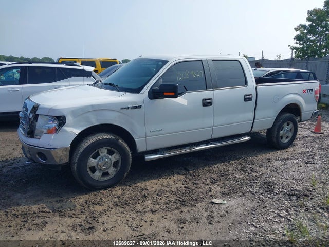 2013 Ford F-150 Xlt მანქანა იყიდება აუქციონზე, vin: 1FTFW1ET1DFB86491, აუქციონის ნომერი: 12689627
