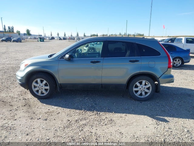 Aukcja sprzedaży 2010 Honda Cr-v Lx, vin: 5J6RE4H38AL805544, numer aukcji: 12689744