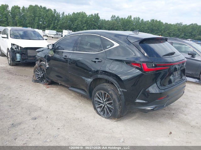 Lexus NX 250 2023 2T2ADCEZ3PC003875 Image 3