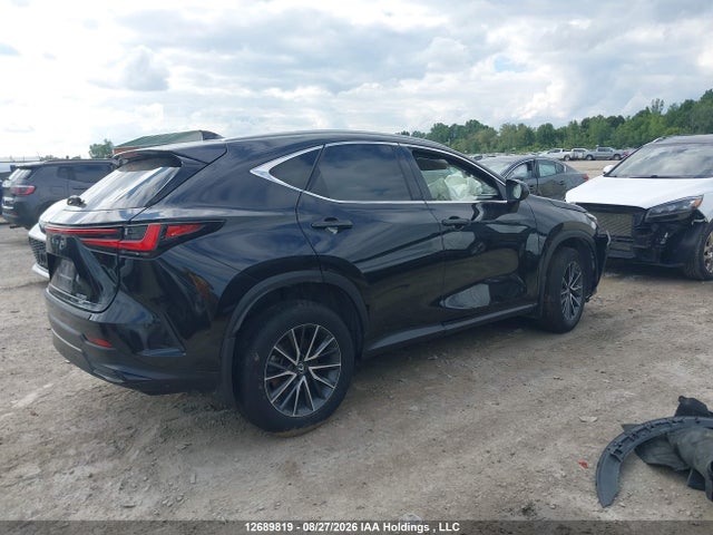 Lexus NX 250 2023 2T2ADCEZ3PC003875 Image 4