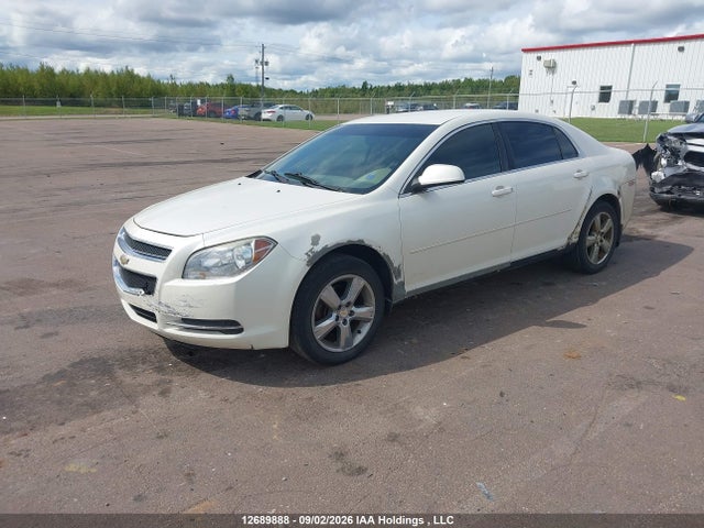 2011 Chevrolet Malibu Lt Platium Edition მანქანა იყიდება აუქციონზე, vin: 1G1ZD5EUXBF111572, აუქციონის ნომერი: 12689888