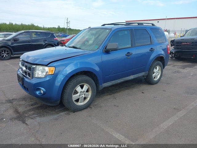 Продаж на аукціоні авто 2010 Ford Escape, vin: 1FMCU9DGXAKB39003, номер лоту: 12689907