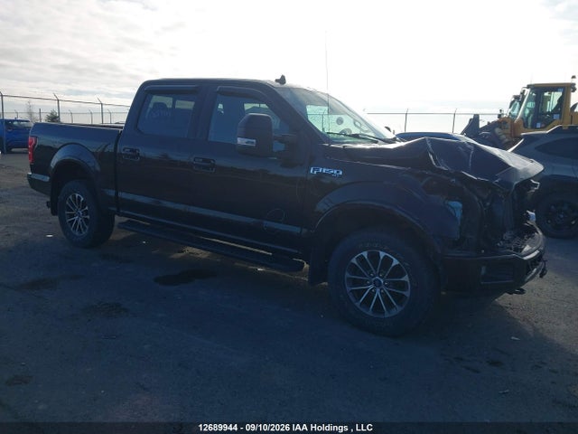 Aukcja sprzedaży 2019 Ford F-150 Xlt, vin: 1FTEW1E46KFB86309, numer aukcji: 12689944