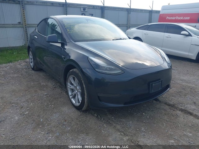 Auction sale of the 2024 Tesla Model Y Long Range/rwd, vin: 7SAYGDEDXRF990111, lot number: 12690064