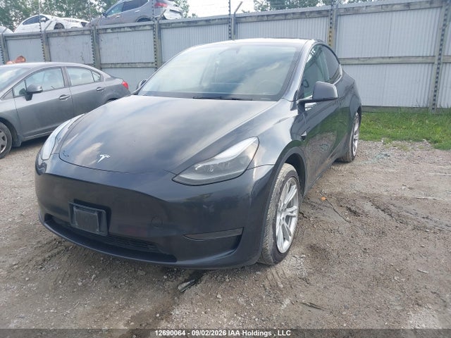 2024 Tesla Model Y Long Range/rwd მანქანა იყიდება აუქციონზე, vin: 7SAYGDEDXRF990111, აუქციონის ნომერი: 12690064