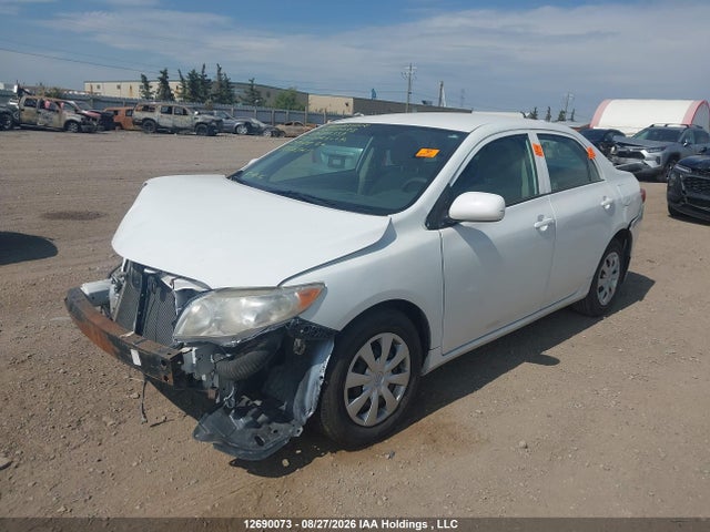 12690073 :رقم المزاد ، 2T1BU40E19C097339 vin ، 2009 Toyota Corolla S/le/xle مزاد بيع