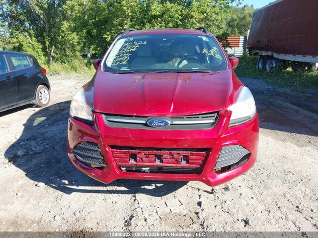 Ford ESCAPE SE 2016 1FMCU9GX1GUA87804 Image 12