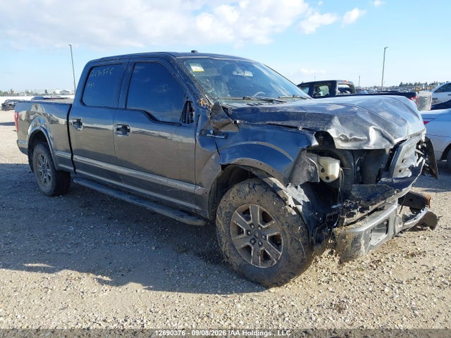 Ford F-150 Xlt 2016 1FTFW1EF9GFA33288 Image 6