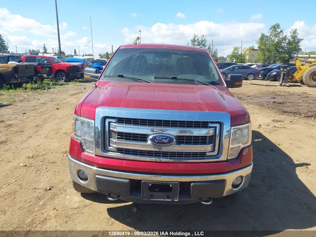 12690419 :رقم المزاد ، 1FTFW1EF5EFC55369 vin ، 2014 Ford F-150 Xlt مزاد بيع