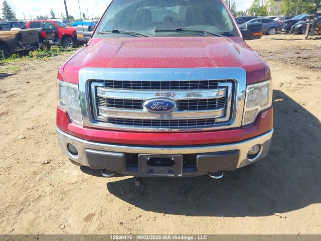 12690419 :رقم المزاد ، 1FTFW1EF5EFC55369 vin ، 2014 Ford F-150 Xlt مزاد بيع