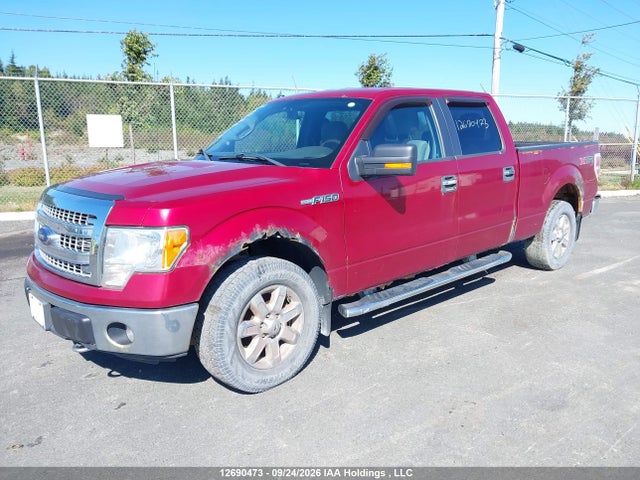 Продажа на аукционе авто 2014 Ford F150 Supercrew, vin: 1FTFW1EF9EKF41281, номер лота: 12690473