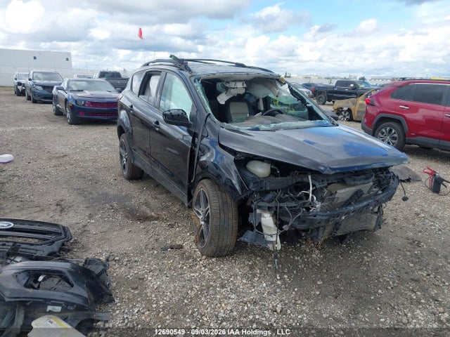 Продаж на аукціоні авто 2019 Ford Escape Sel, vin: 1FMCU9HD6KUA27496, номер лоту: 12690549