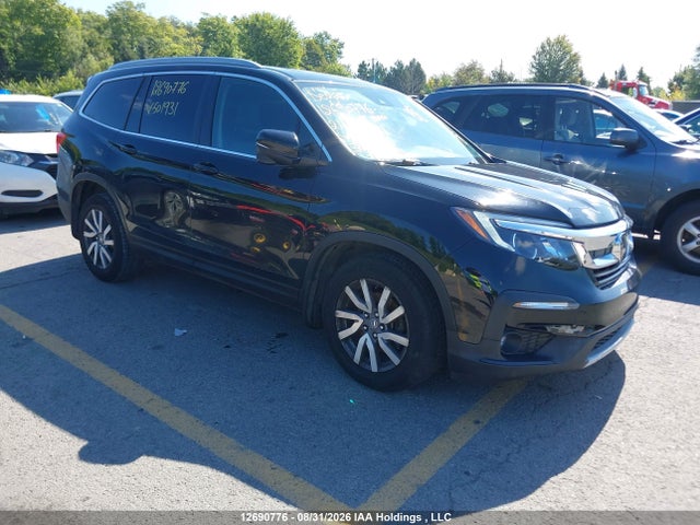 Продаж на аукціоні авто 2021 Honda Pilot Black, vin: 5FNYF6H71MB501931, номер лоту: 12690776
