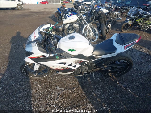 JKAEX8B12FDA19234 Kawasaki Ex300 B