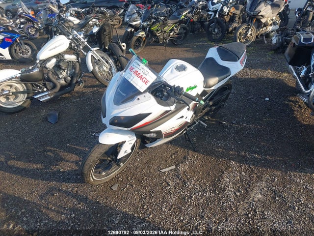 Kawasaki Ex300 B 2015 JKAEX8B12FDA19234 Image 2