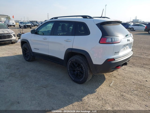 Jeep Cherokee Trailhawk 2019 1C4PJMBX1KD211037 Image 3