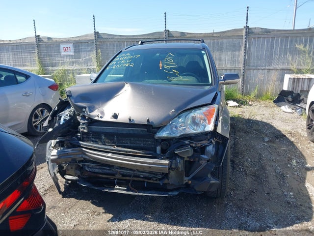 2009 Honda Cr-v Exl მანქანა იყიდება აუქციონზე, vin: 5J6RE48769L801782, აუქციონის ნომერი: 12691017