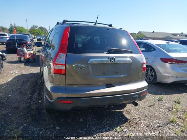 2009 Honda Cr-v Exl მანქანა იყიდება აუქციონზე, vin: 5J6RE48769L801782, აუქციონის ნომერი: 12691017