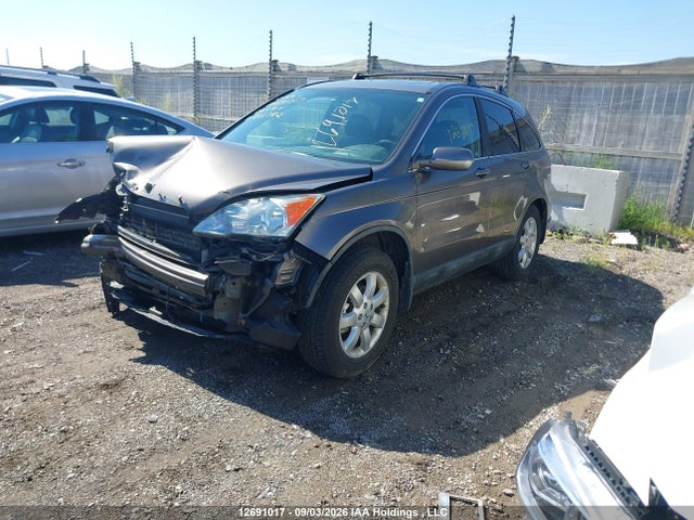 2009 Honda Cr-v Exl მანქანა იყიდება აუქციონზე, vin: 5J6RE48769L801782, აუქციონის ნომერი: 12691017