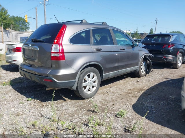 2009 Honda Cr-v Exl მანქანა იყიდება აუქციონზე, vin: 5J6RE48769L801782, აუქციონის ნომერი: 12691017