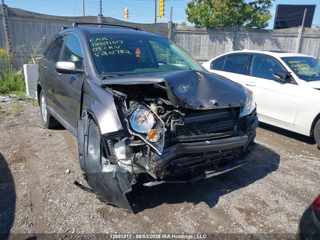 2009 Honda Cr-v Exl მანქანა იყიდება აუქციონზე, vin: 5J6RE48769L801782, აუქციონის ნომერი: 12691017