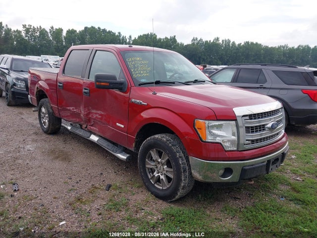 12691028 :رقم المزاد ، 1FTFW1ET5DKE73856 vin ، 2013 Ford F150 Supercrew مزاد بيع
