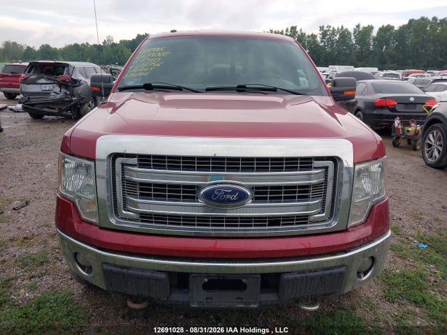 12691028 :رقم المزاد ، 1FTFW1ET5DKE73856 vin ، 2013 Ford F150 Supercrew مزاد بيع