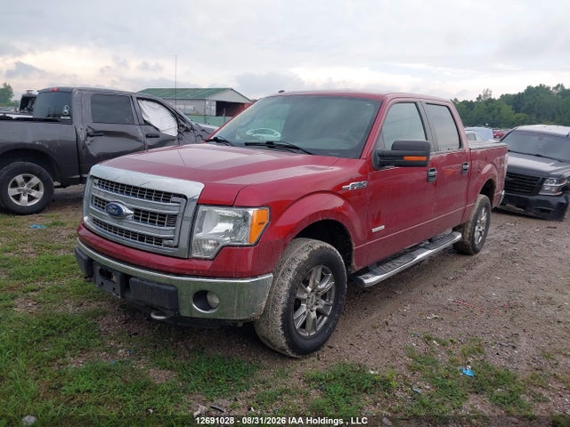 12691028 :رقم المزاد ، 1FTFW1ET5DKE73856 vin ، 2013 Ford F150 Supercrew مزاد بيع