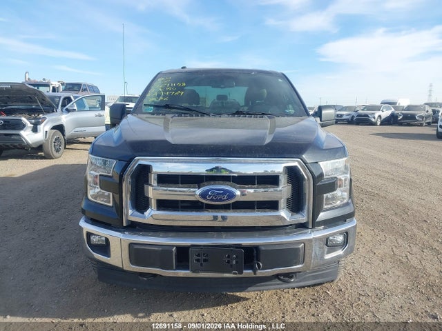 1FTEW1E82HFA99969 Ford F-150 Xlt