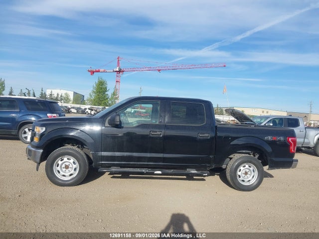 1FTEW1E82HFA99969 Ford F-150 Xlt