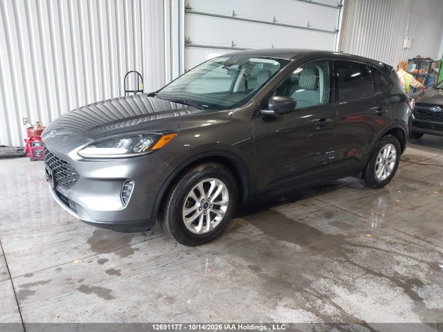 Aukcja sprzedaży 2020 Ford Escape S, vin: 1FMCU0F67LUC01366, numer aukcji: 12691177