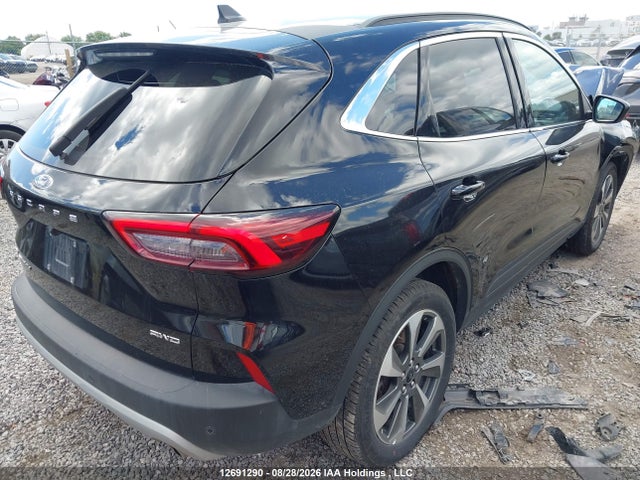Продаж на аукціоні авто 2025 Ford Escape Platinum, vin: 1FMCU9JA0SUB24516, номер лоту: 12691290