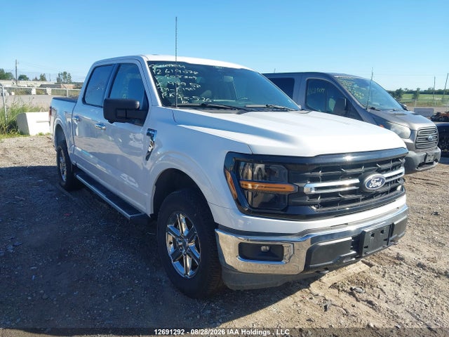 Продаж на аукціоні авто 2024 Ford F-150 Xlt, vin: 1FTFW3L50RKE05309, номер лоту: 12691292