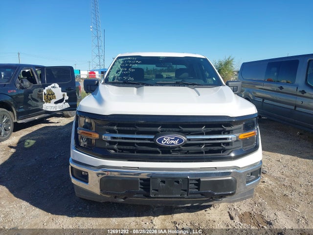 Продаж на аукціоні авто 2024 Ford F-150 Xlt, vin: 1FTFW3L50RKE05309, номер лоту: 12691292