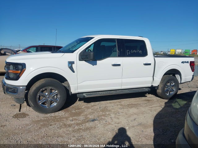 Продаж на аукціоні авто 2024 Ford F-150 Xlt, vin: 1FTFW3L50RKE05309, номер лоту: 12691292