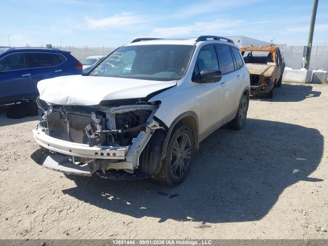 2021 Honda Passport Sport მანქანა იყიდება აუქციონზე, vin: 5FNYF8H23MB502109, აუქციონის ნომერი: 12691444